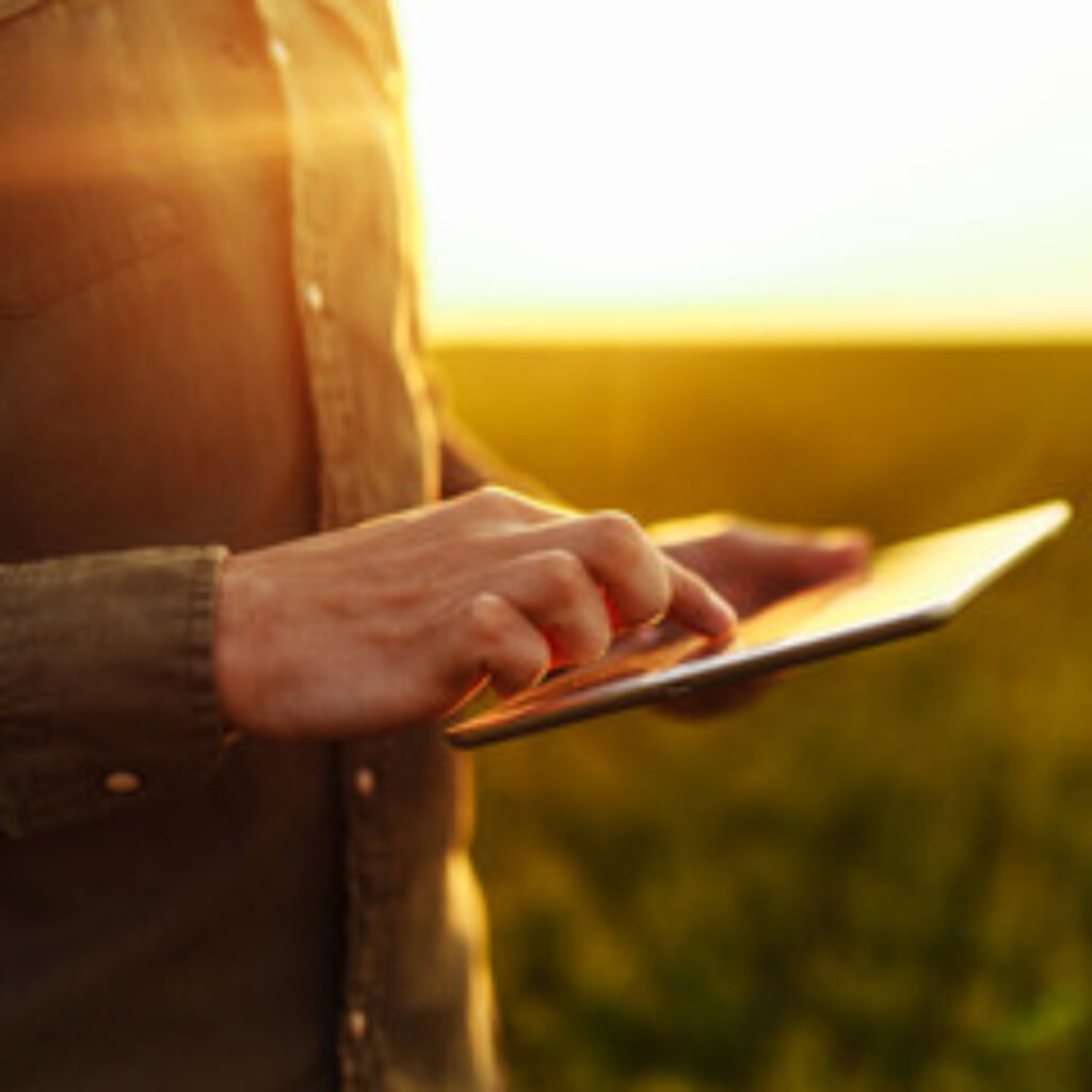 Working on a tablet in a field